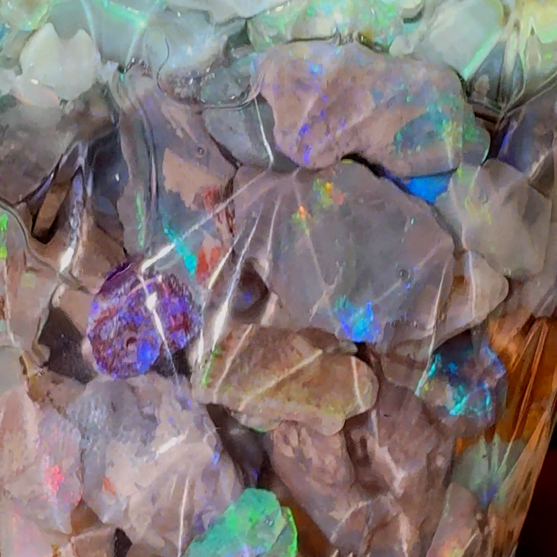 1150 ct Mixed Lightning Ridge Rough Opal, Small and Medium with Nobbies